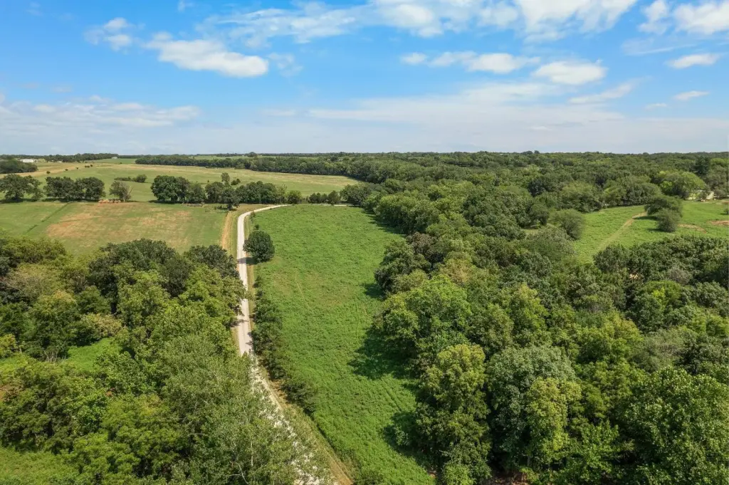 Picture 39