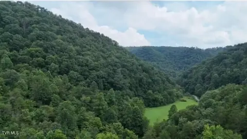Wooded Hunting Land