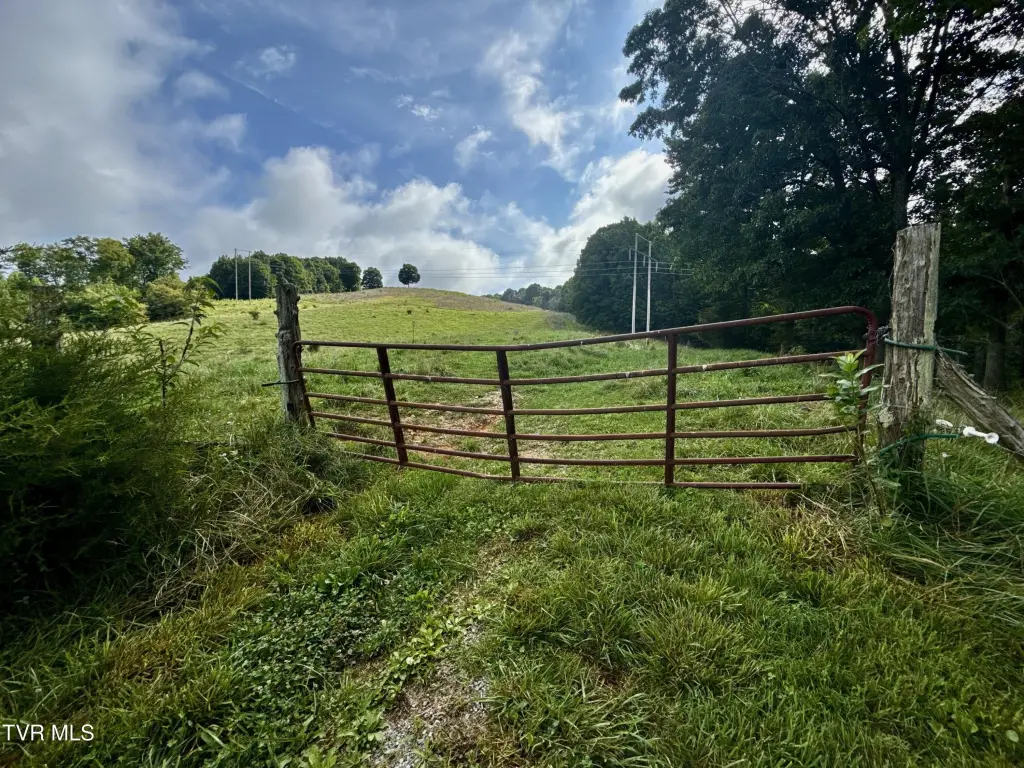 Picture 6