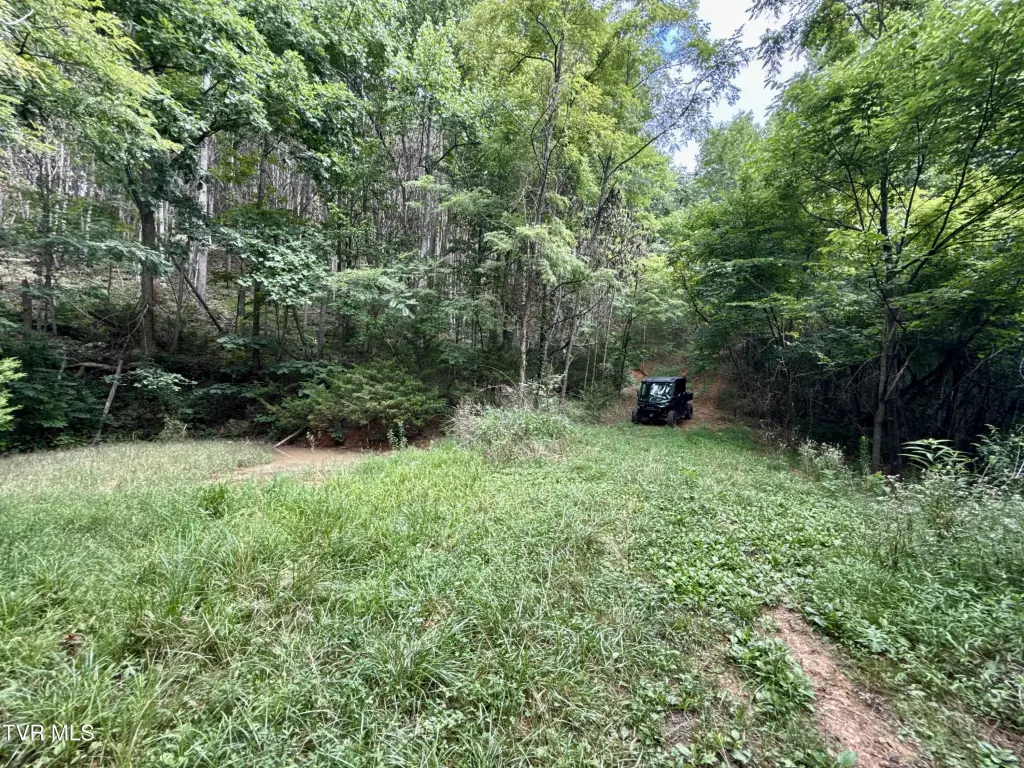 Picture 36
