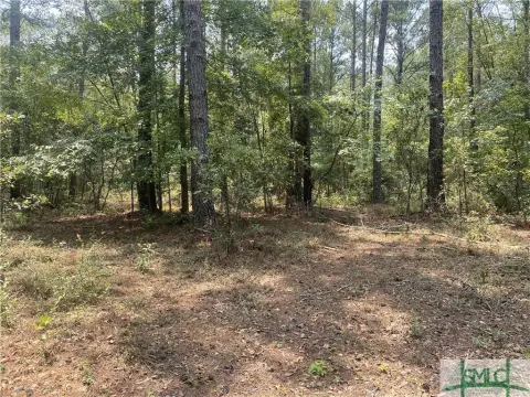 Wooded Land Near Springfield, GA