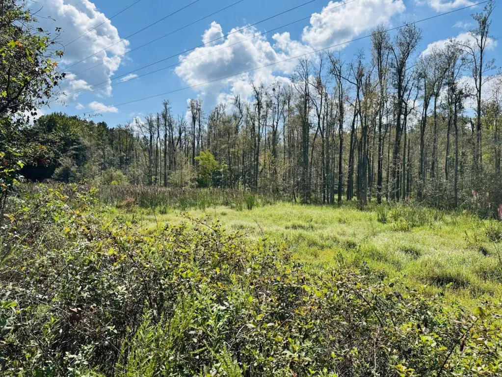 Picture 22