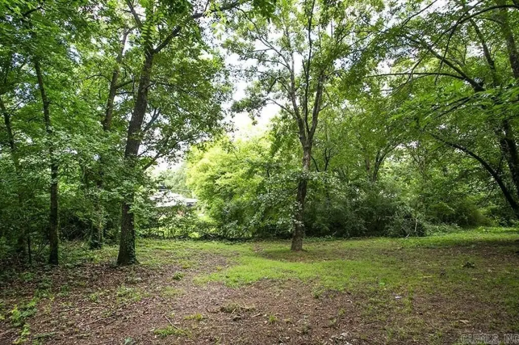 Picture 23