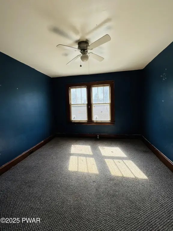 Picture 20