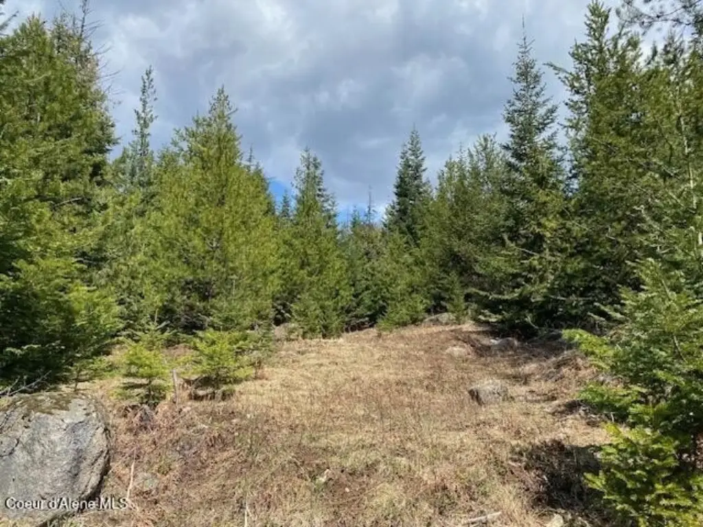 Picture 18