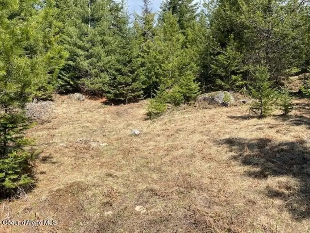 Picture 20