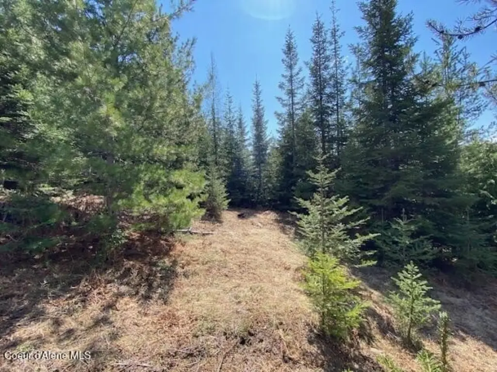Picture 23