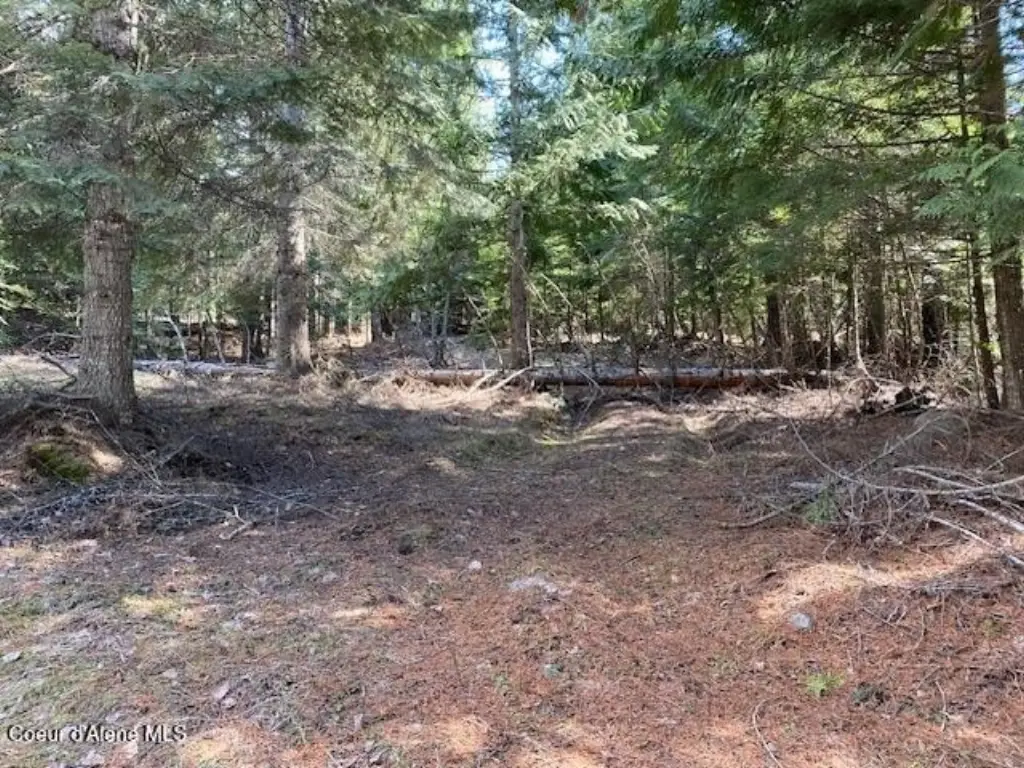 Picture 3