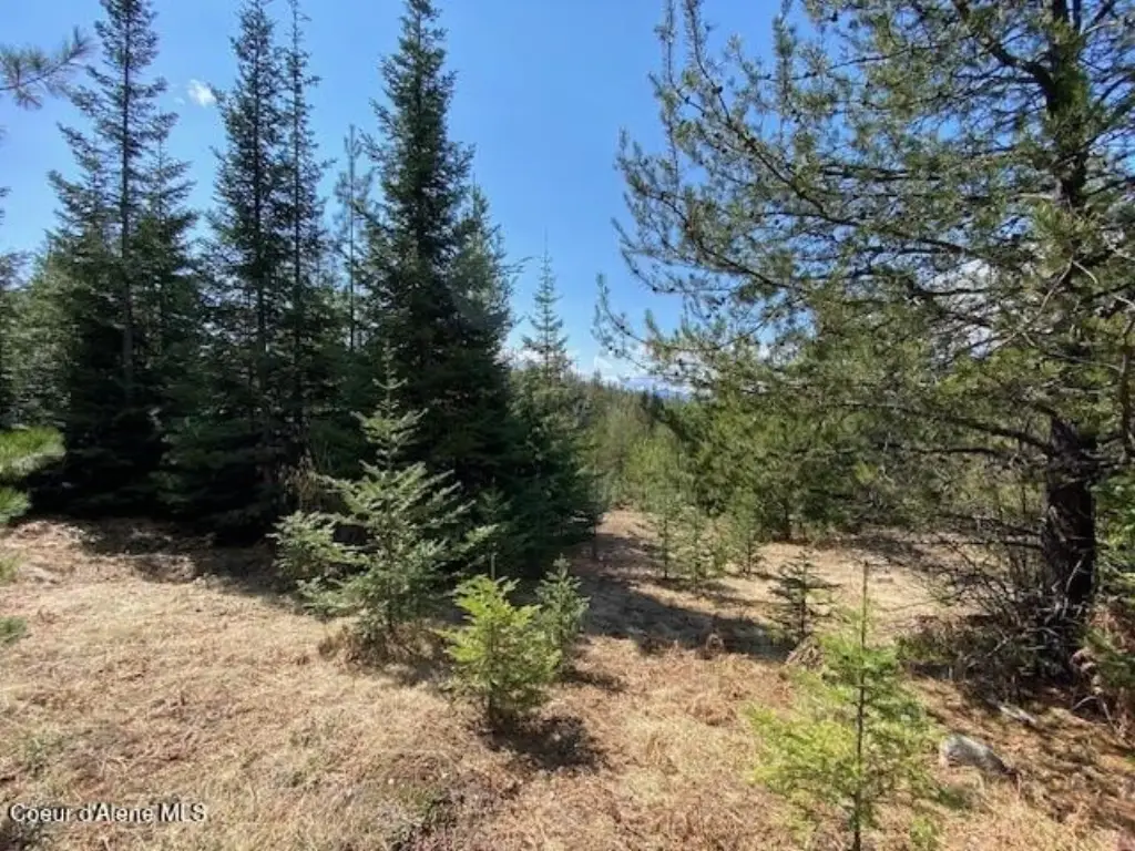 Picture 28