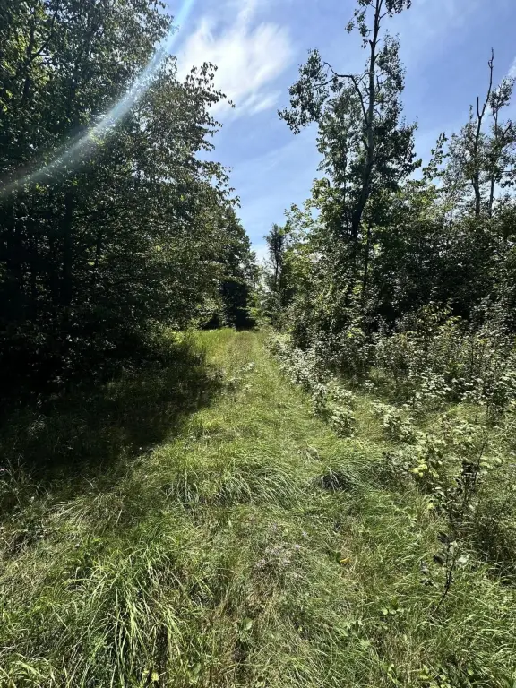 Picture 6