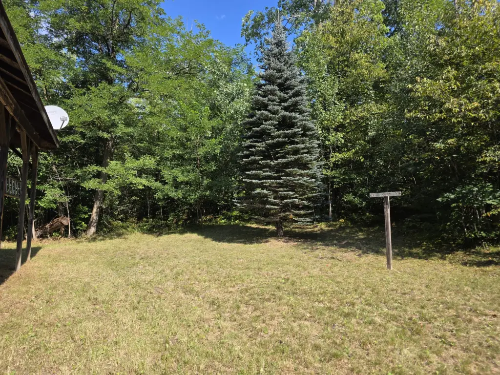 Picture 4