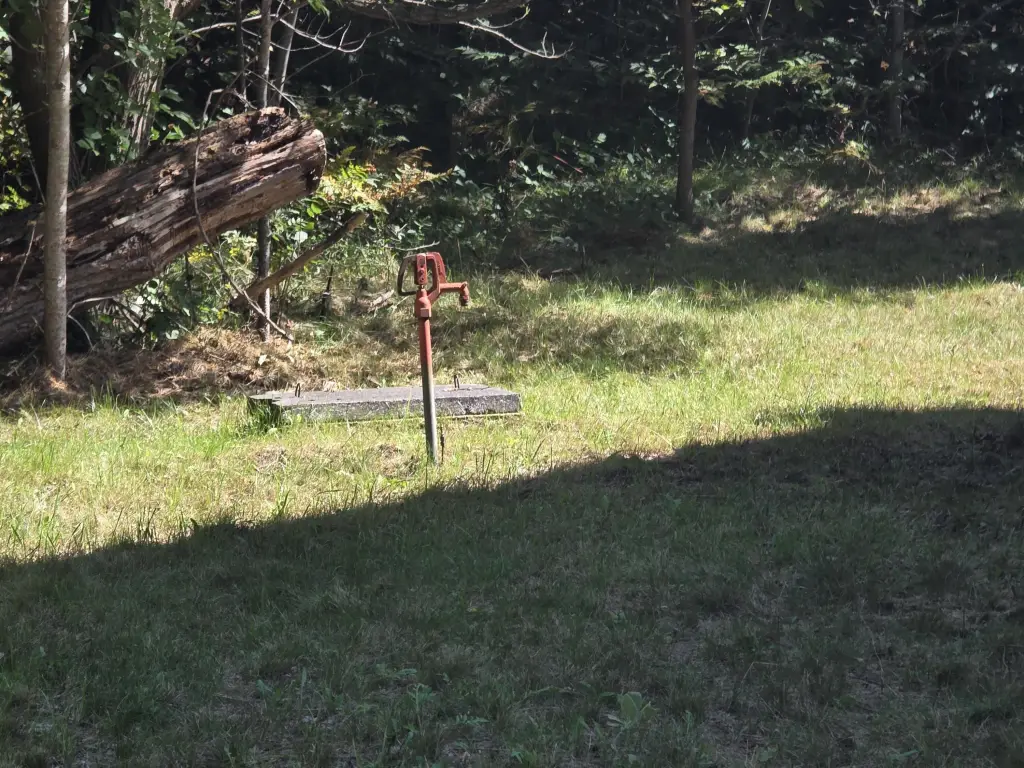 Picture 5