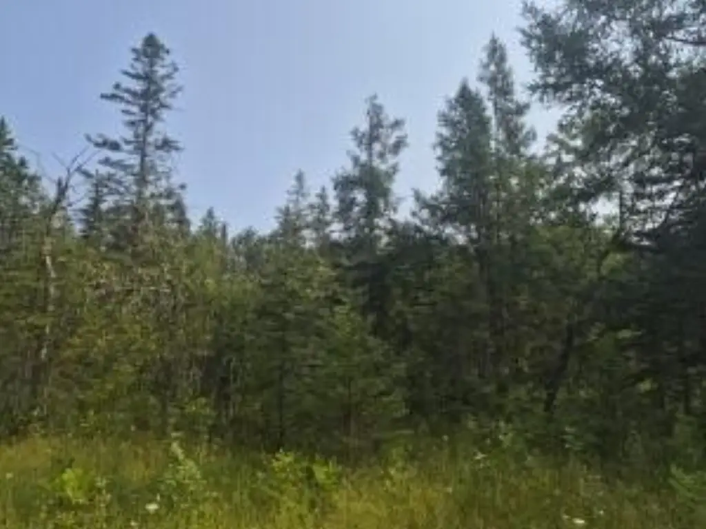 Picture 22