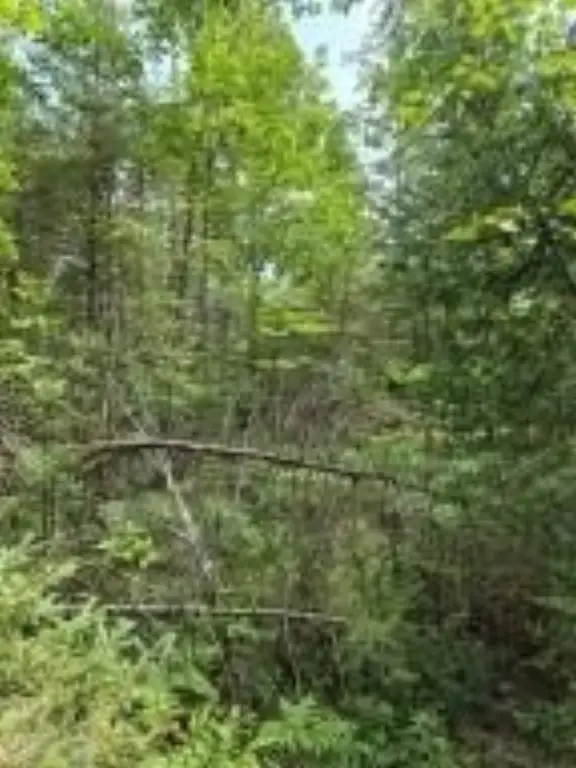 Picture 25