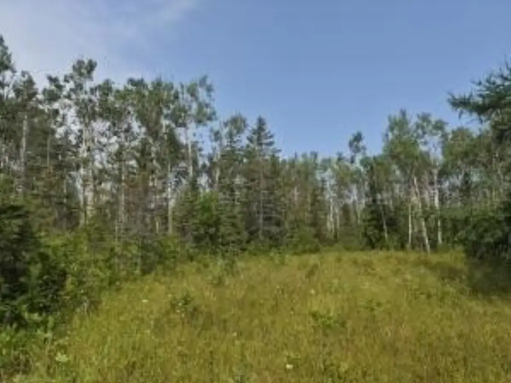 Picture 19