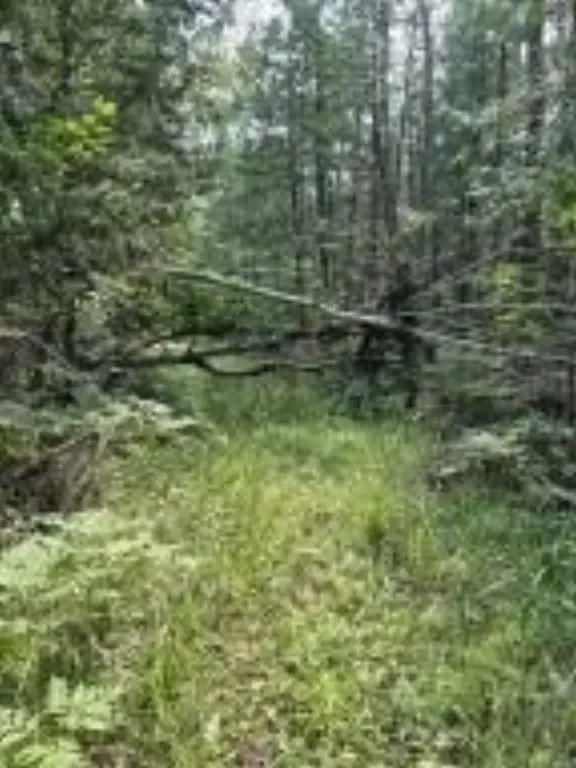 Picture 24