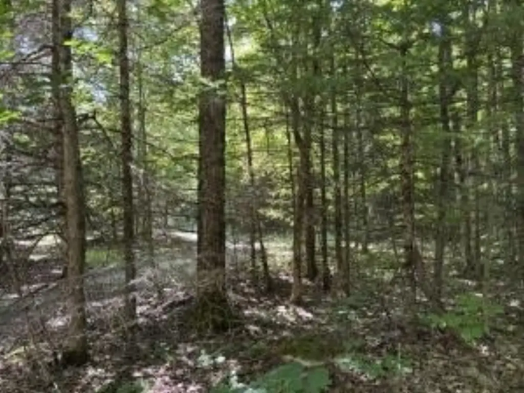 Picture 27
