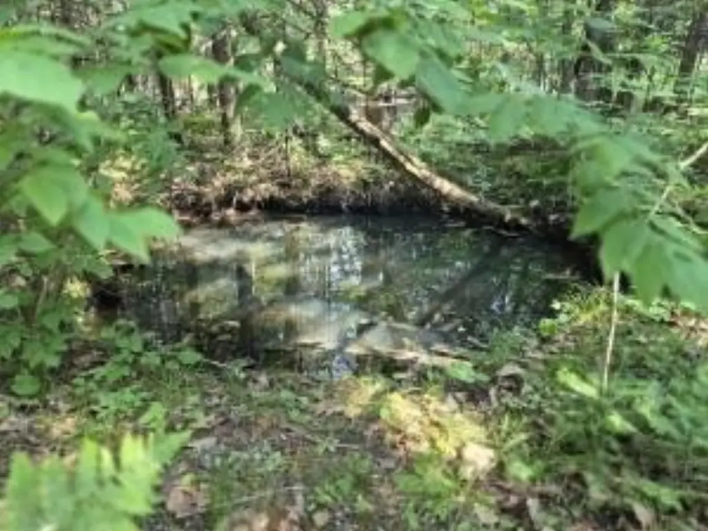 Picture 12