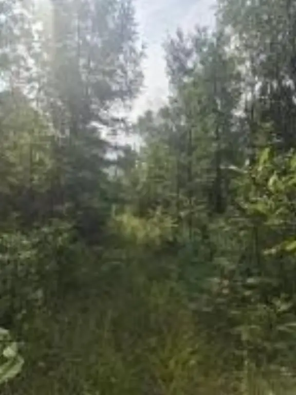 Picture 23