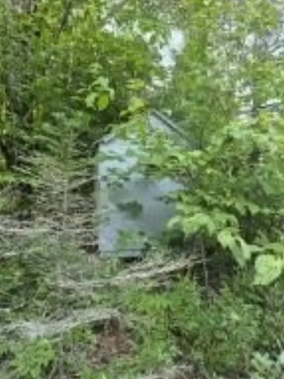 Picture 8