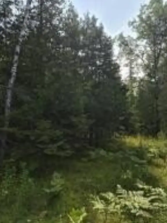 Picture 16