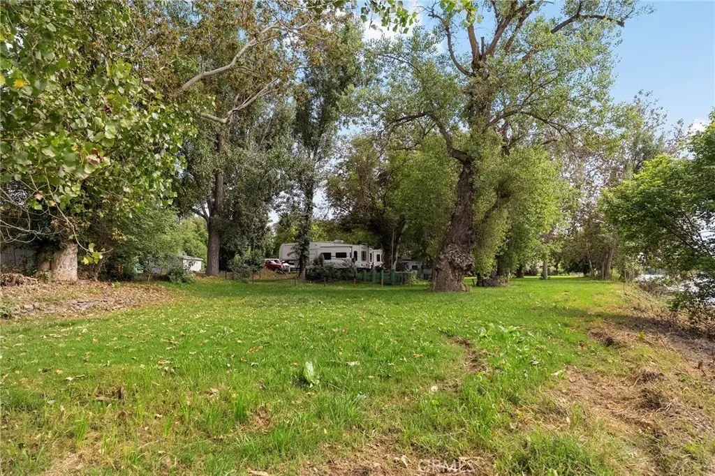 Picture 19