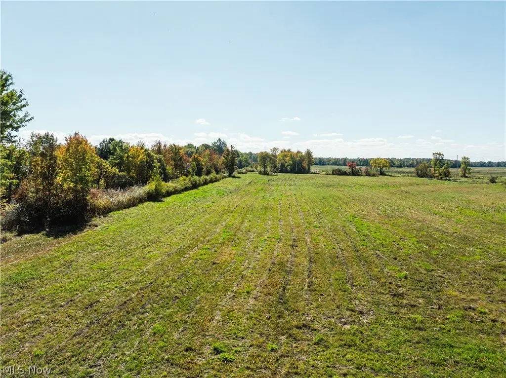 Picture 11