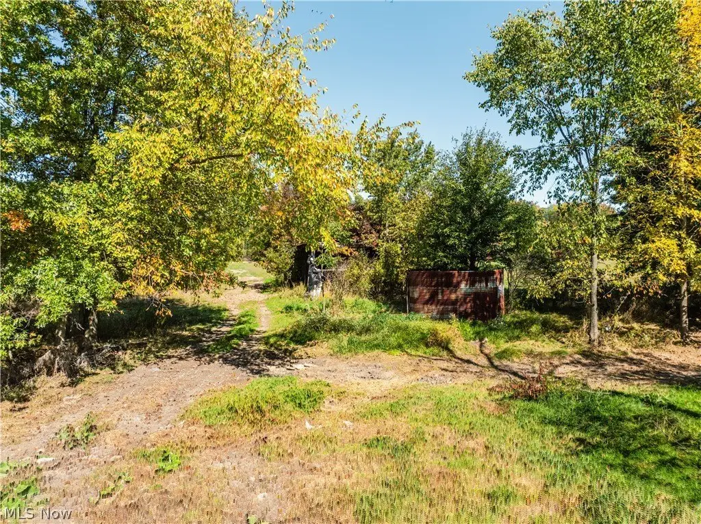 Picture 20