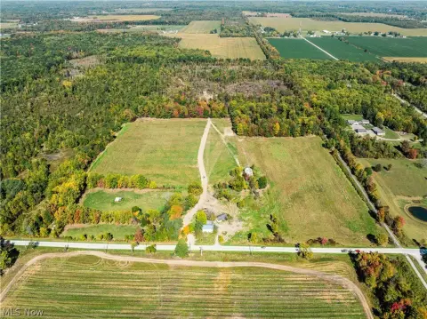 Wooded Hunting Land
