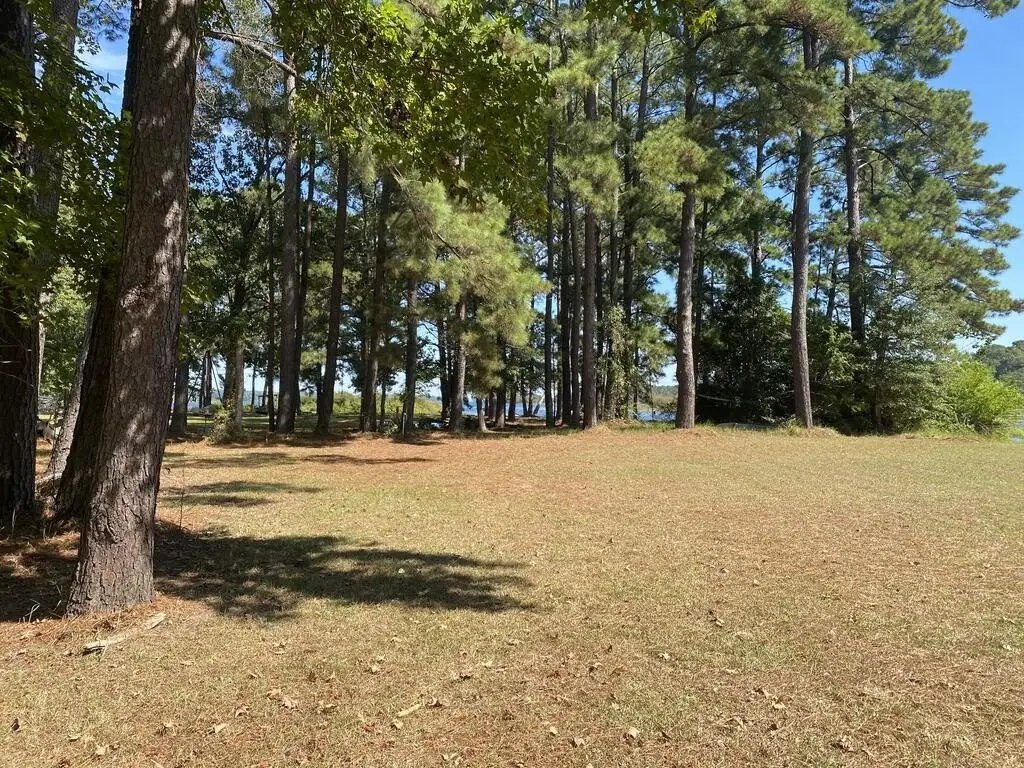 Picture 12