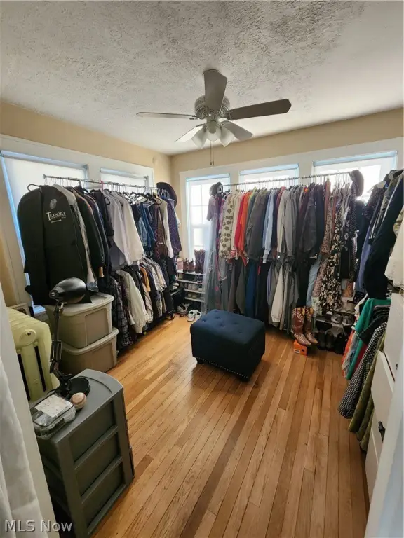 Picture 21