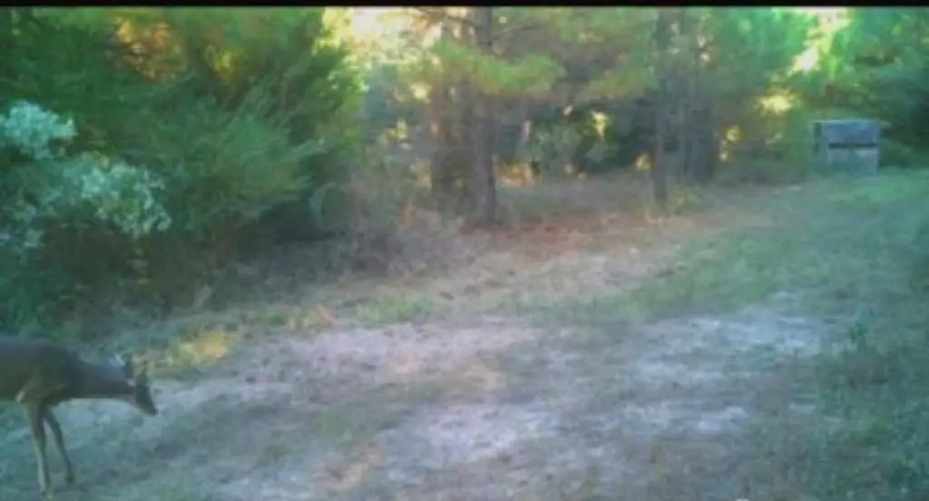 Picture 4