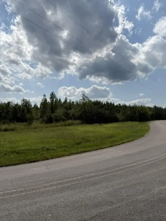 Picture 6