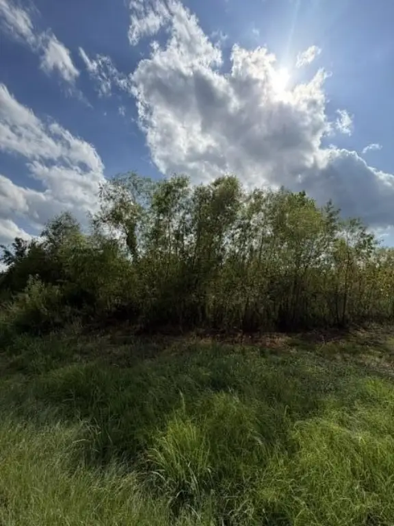 Picture 12