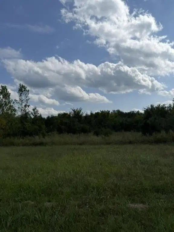 Picture 8