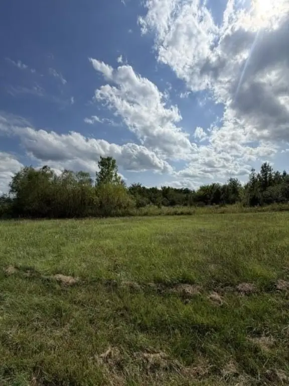 Picture 7