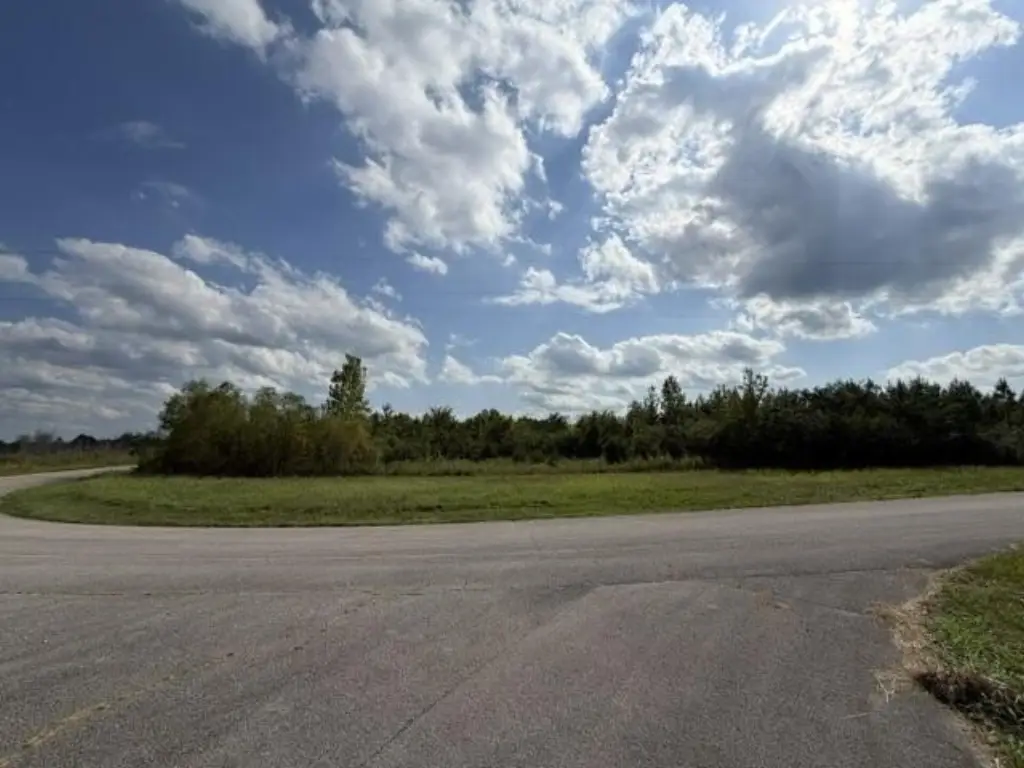 Picture 13