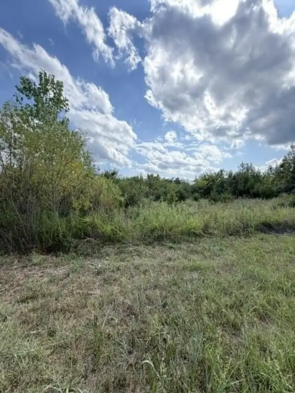 Picture 11