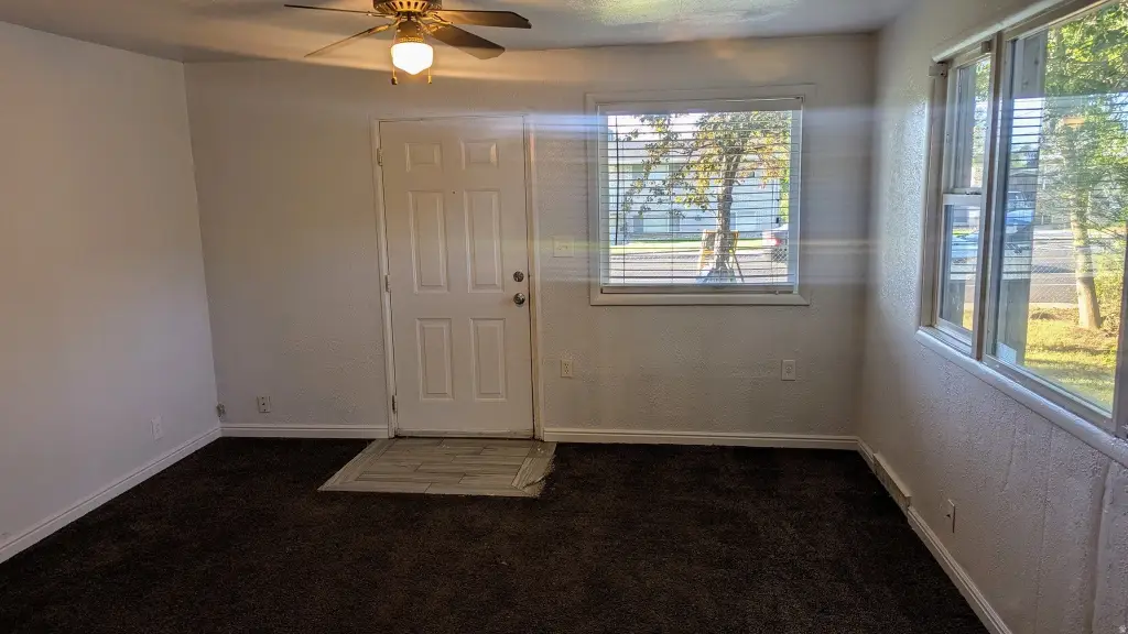 Picture 25