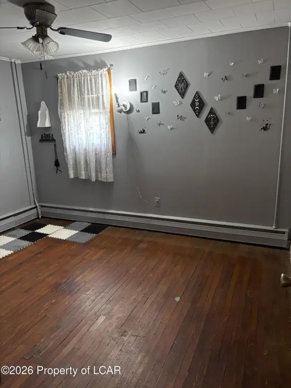 Picture 16