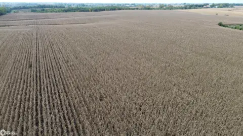 Highly Tillable Crop Farm