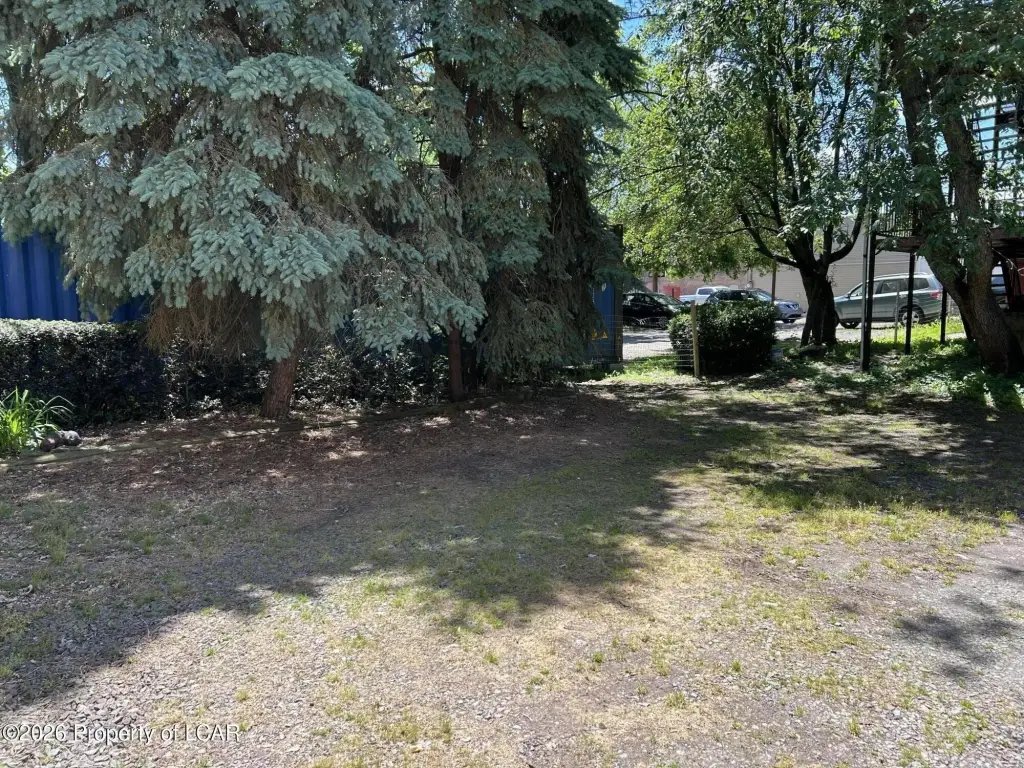 Picture 5