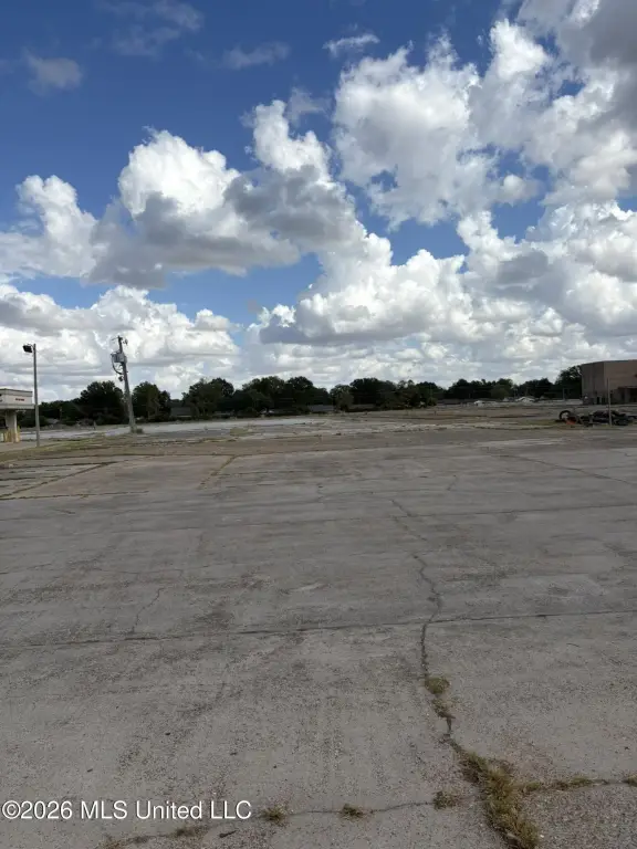 Picture 5