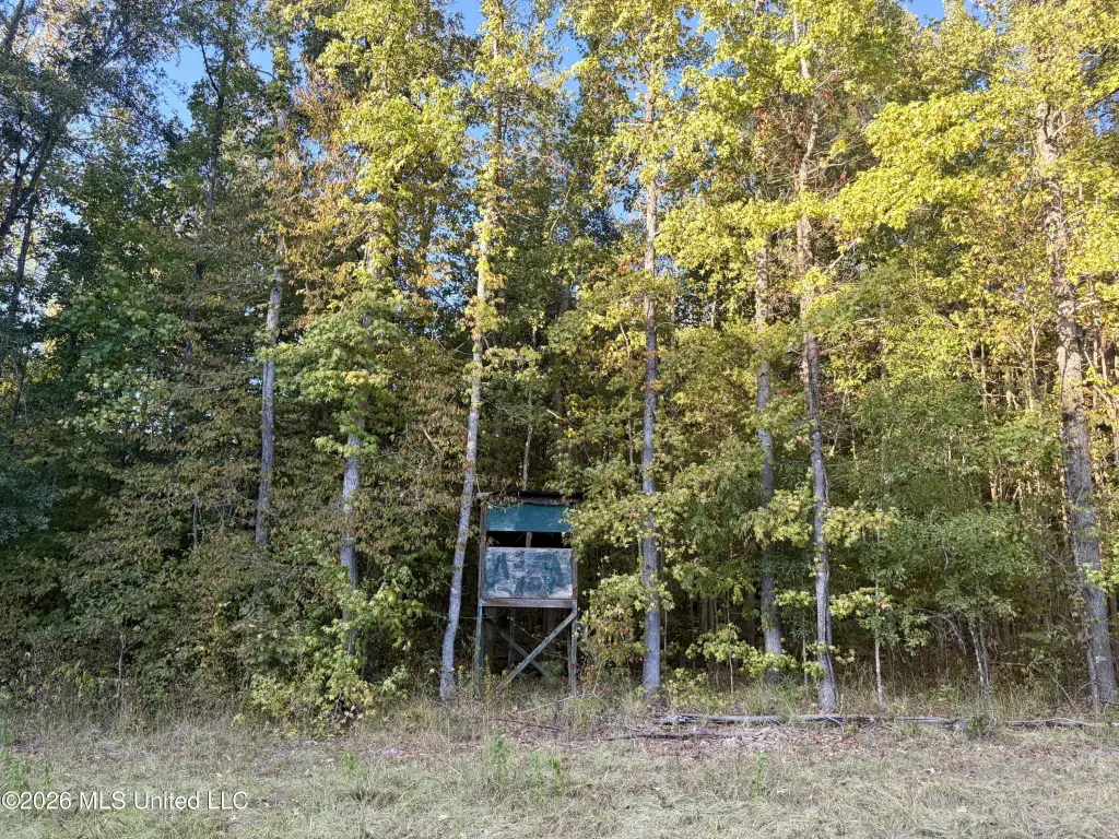 Picture 21