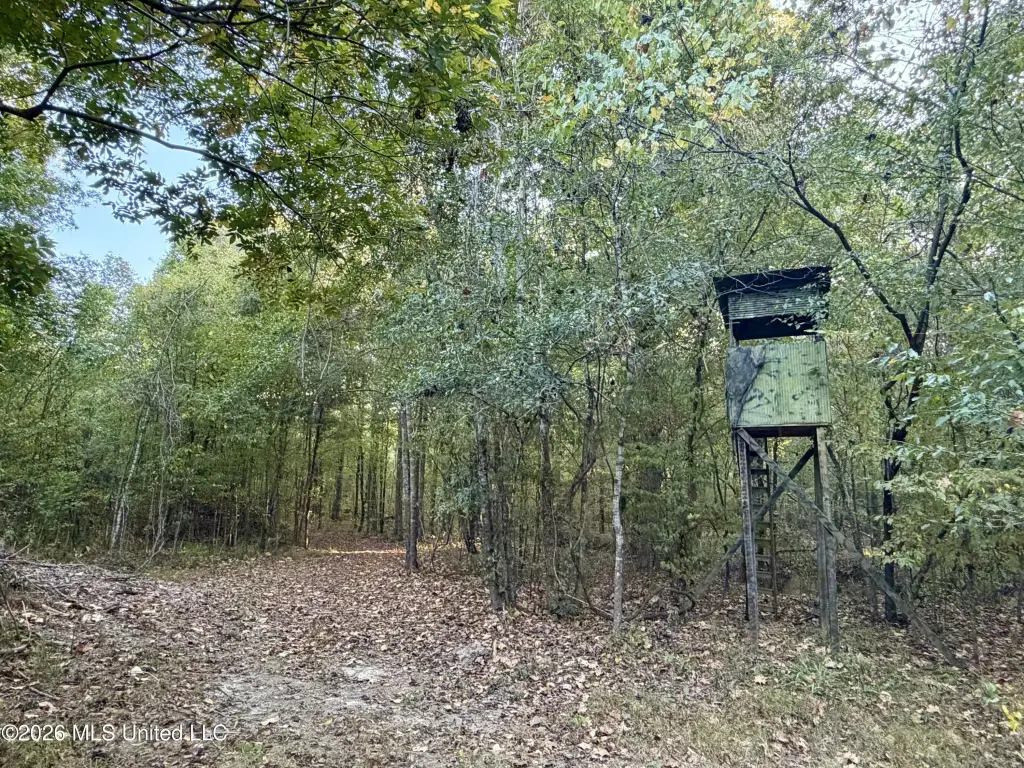 Picture 24