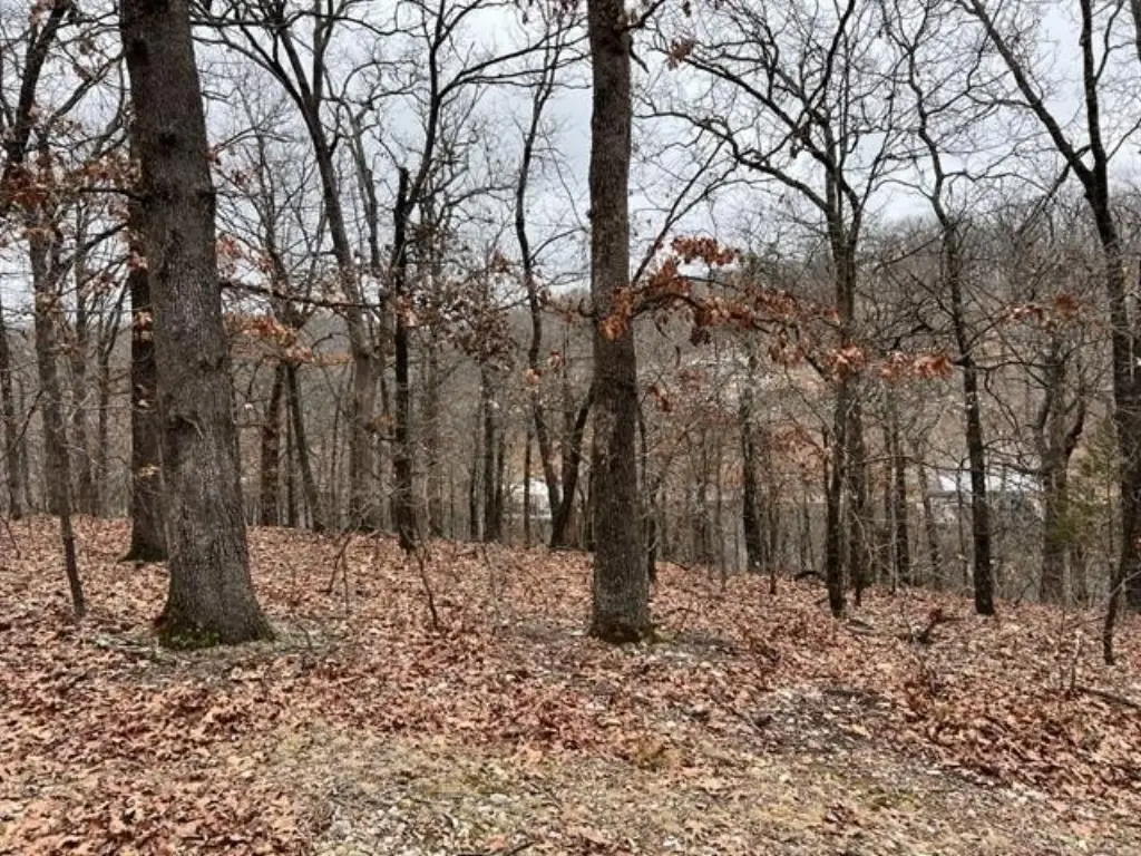 Picture 14