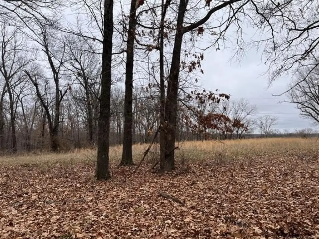 Picture 3