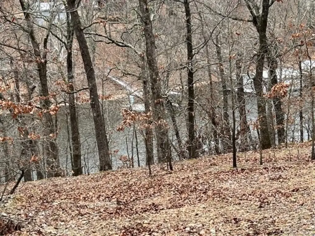 Picture 15