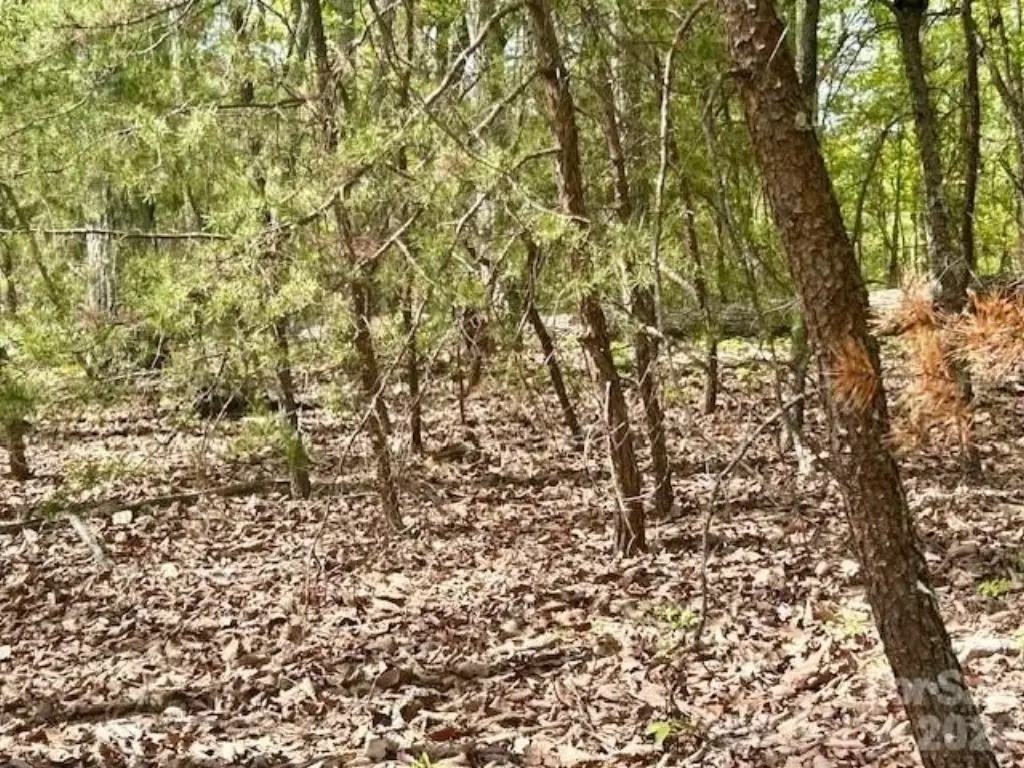 Picture 7