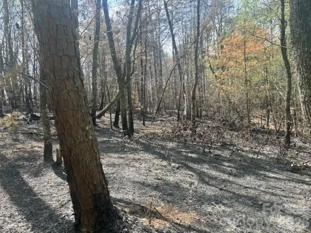 Picture 12